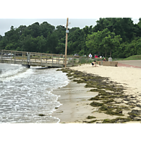 Early June mapping hi tide 06/09/2019 image